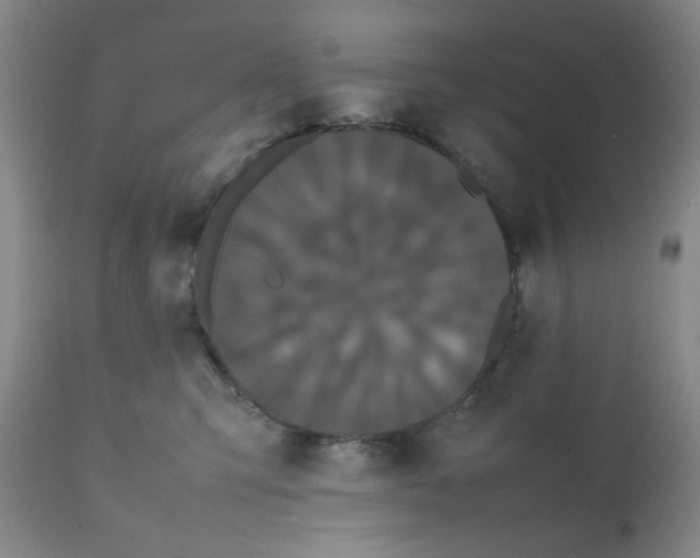 X0000112070423200909151053