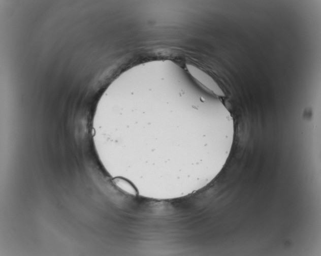 X0000112070424200909151053