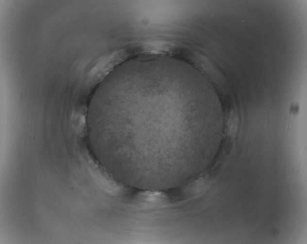 X0000112070427200909151053