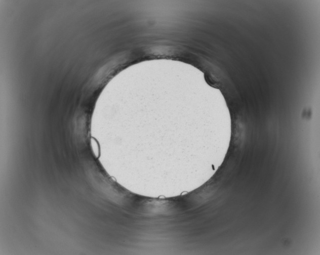X0000112070428200909151053