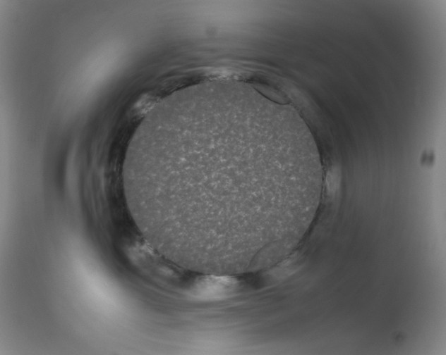 X0000112070429200909151053