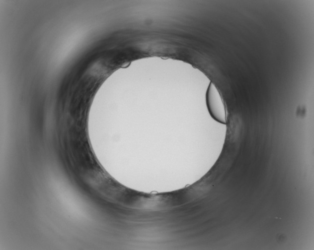 X0000112070430200909151053