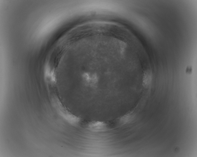 X0000112070431200909151053