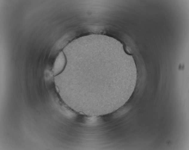 X0000112070432200909151053