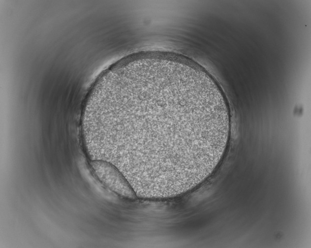 X0000112070434200909151052