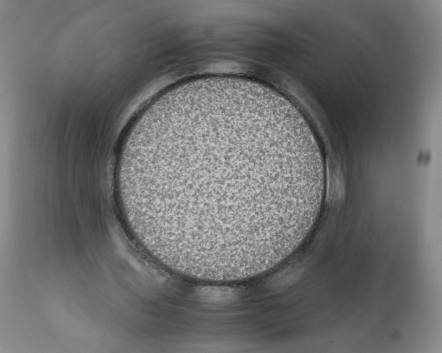 X0000112070435200909151052