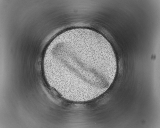 X0000112070436200909151052