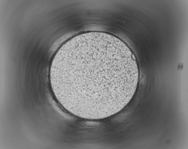 X0000112070437200909151052