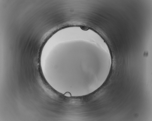X0000112070438200909151052