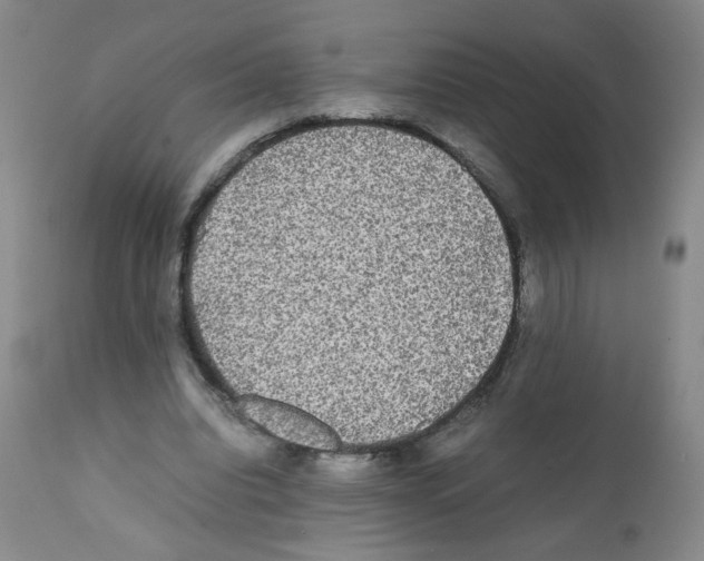 X0000112070440200909151052