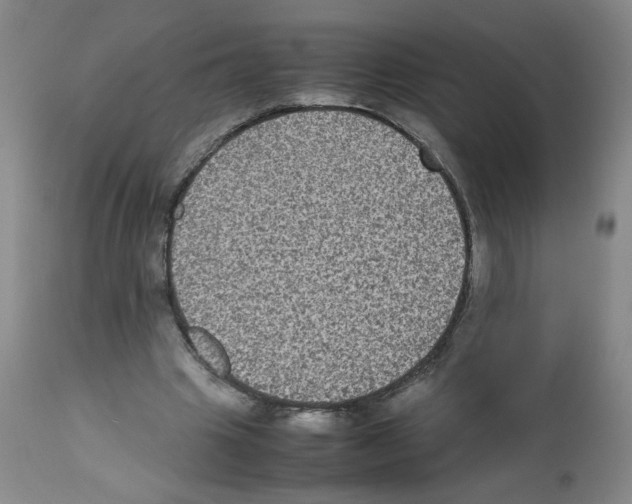 X0000112070441200909151052