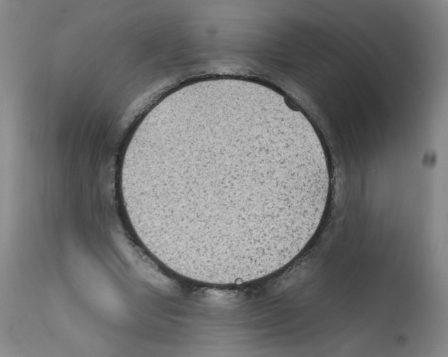 X0000112070442200909151052
