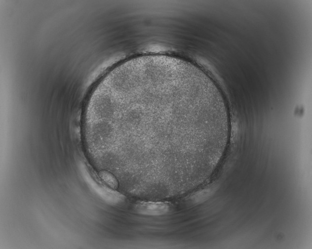X0000112070443200909151052