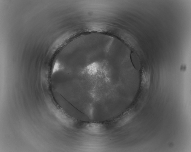 X0000112070444200909151052