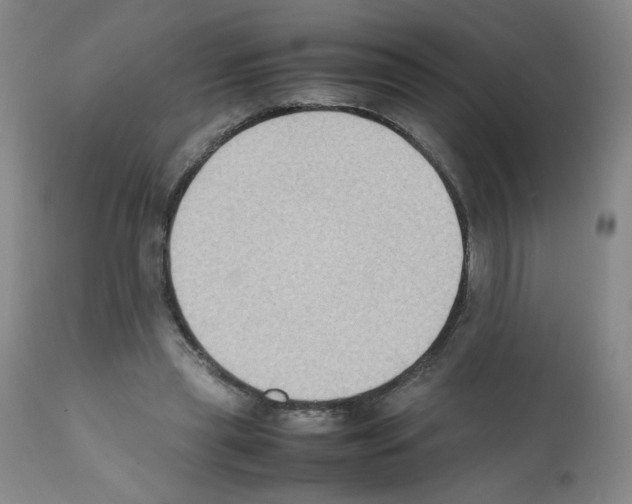 X0000112070445200909151052