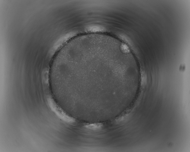 X0000112070447200909151052