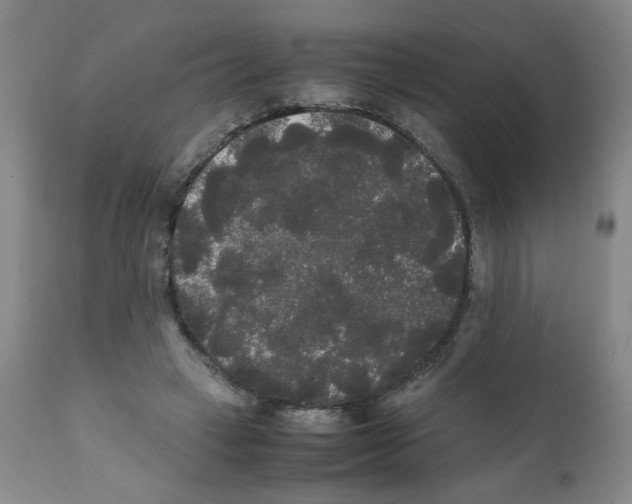 X0000112070449200909151052