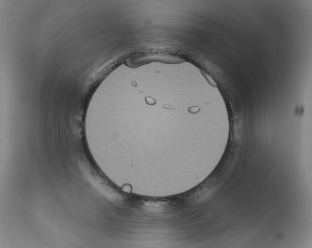 X0000112070450200909151052