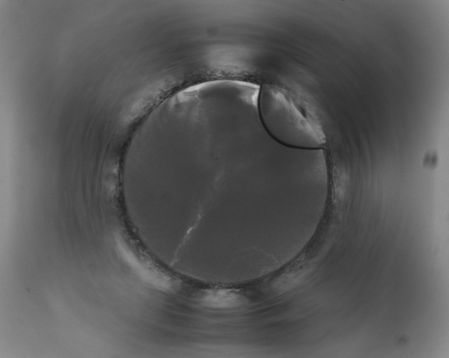X0000112070451200909151052