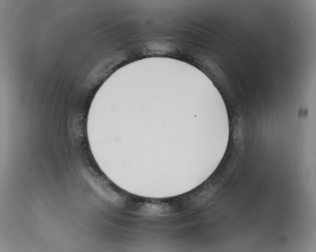 X0000112070455200909151052