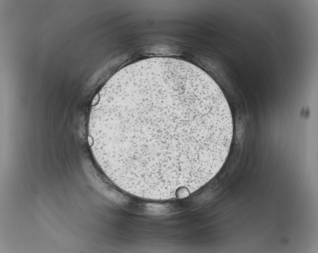X0000112070457200909151052