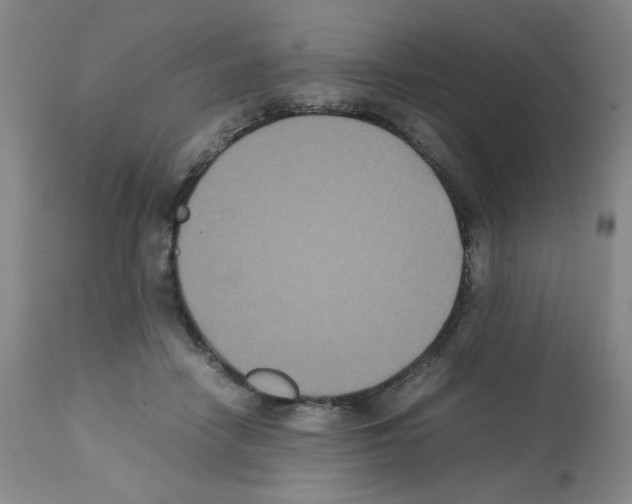 X0000112070458200909151052
