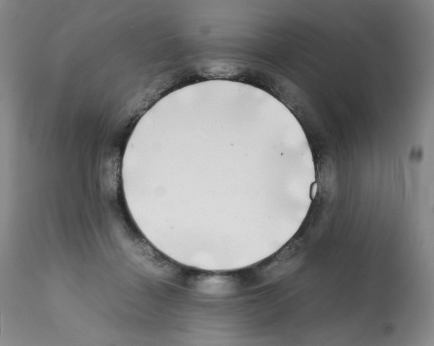 X0000112070460200909151052