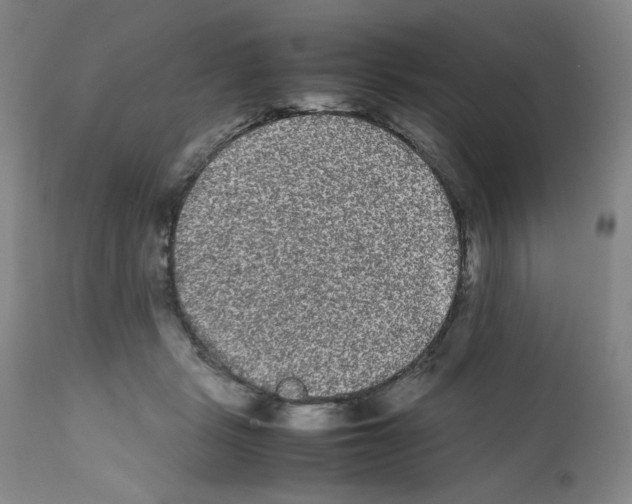 X0000112070461200909151052