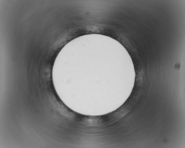 X0000112070466200909151052