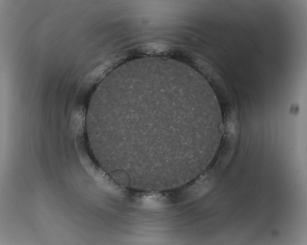 X0000112070468200909151052