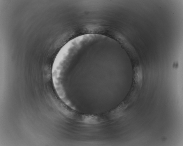 X0000112070471200909151052