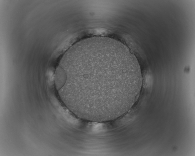 X0000112070472200909151052