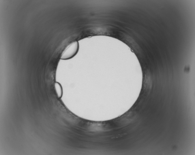 X0000112070473200909151053