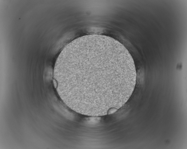 X0000112070474200909151053