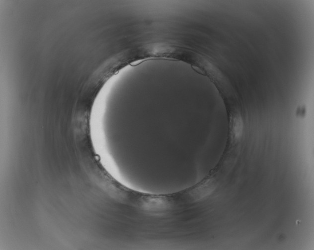 X0000112070475200909151053