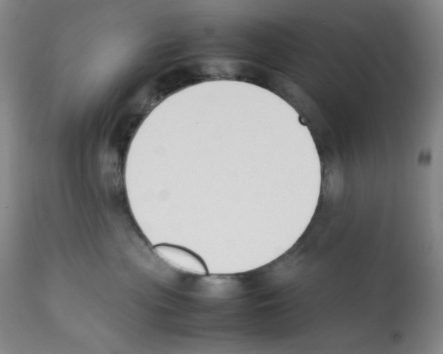 X0000112070477200909151053