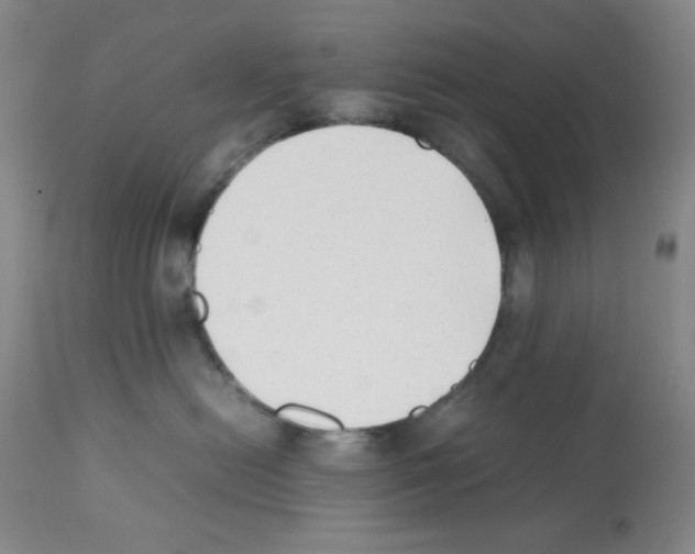 X0000112070478200909151053