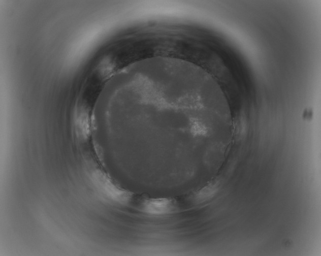 X0000112070479200909151053