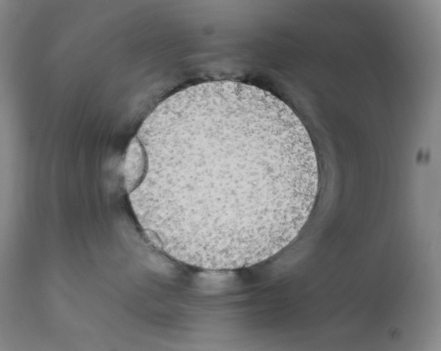 X0000112070480200909151053