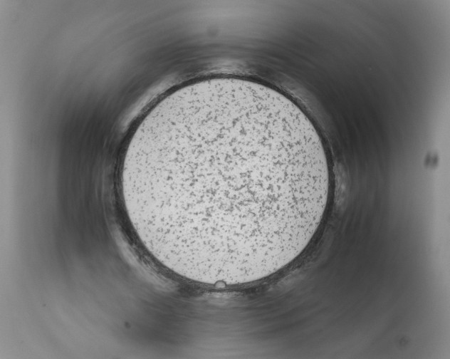 X0000112070482200909151052