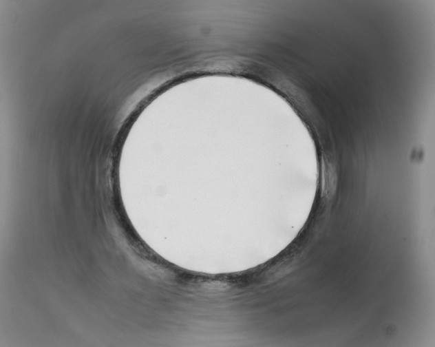 X0000112070483200909151052