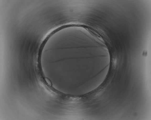 X0000112070484200909151052