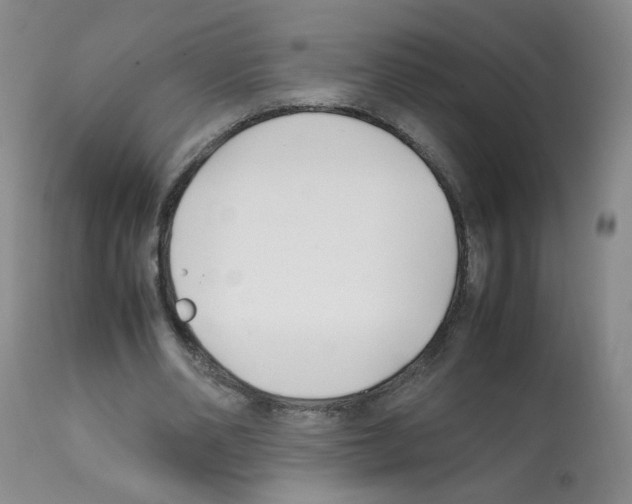 X0000112070486200909151052