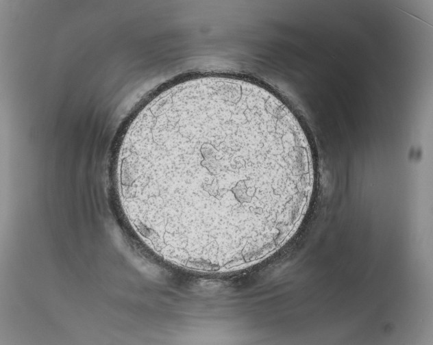 X0000112070487200909151052