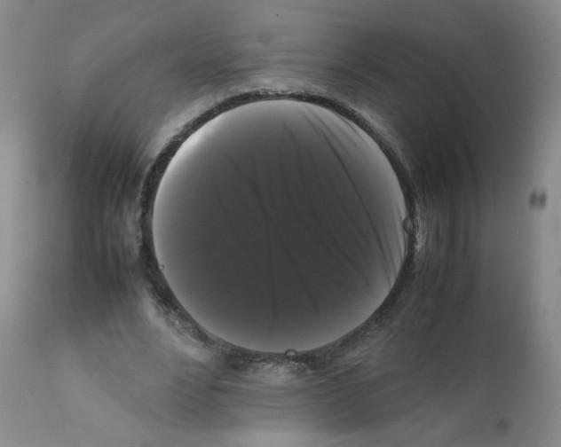 X0000112070488200909151052