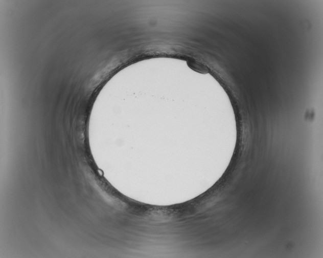 X0000112070489200909151052