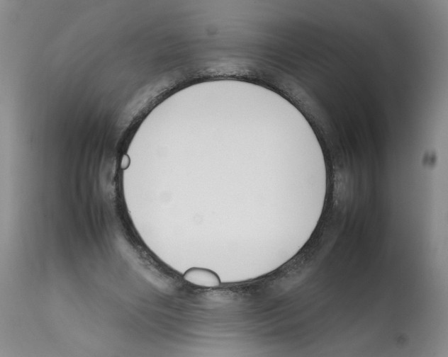 X0000112070490200909151052