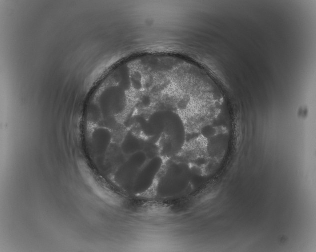 X0000112070491200909151052