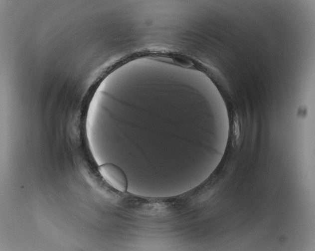 X0000112070492200909151052
