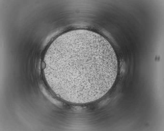 X0000112070494200909151052